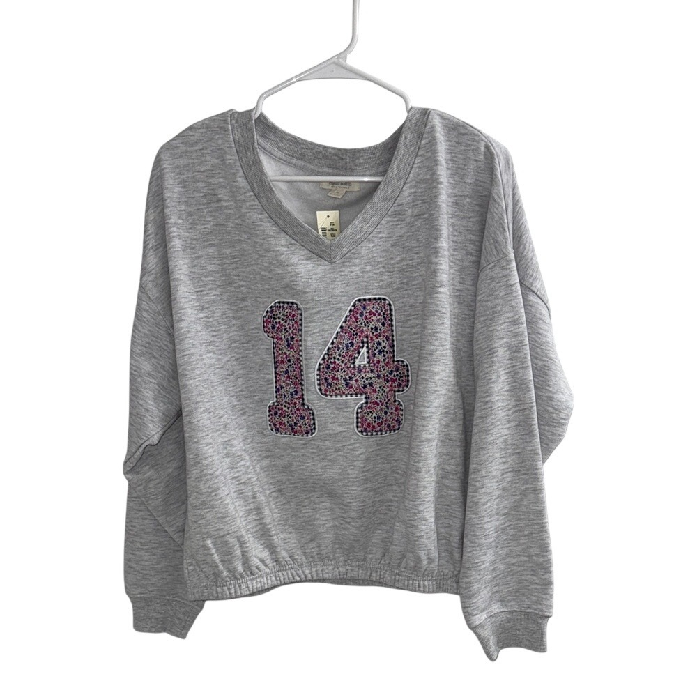 Aeropostale Cloud Soft Gray V-Neck Sweatshirt Floral 14 Applique Varsity Medium